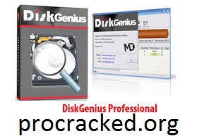 DiskGenius Professional 5.4.2.1239 Crack