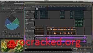 Adobe Audition CC Build Crack
